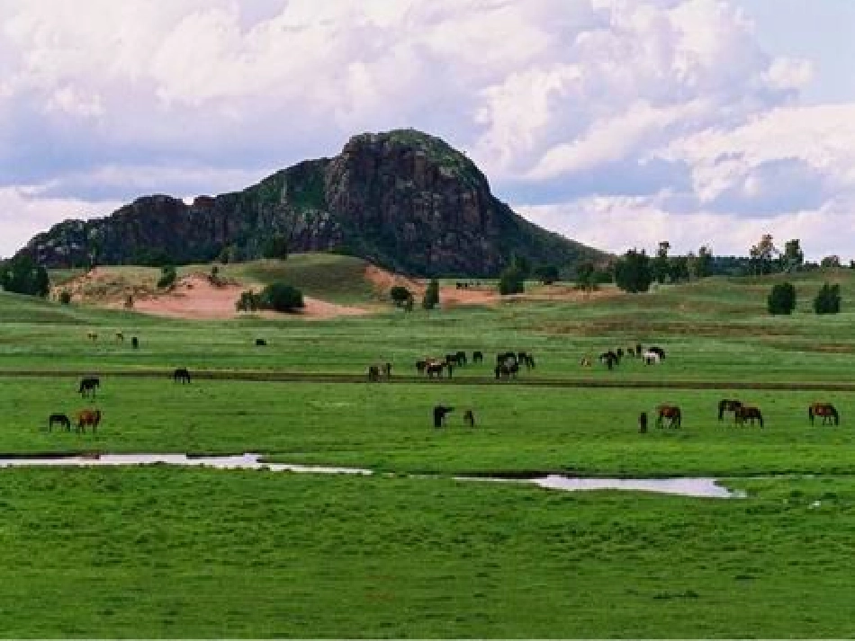 【课件】1草原_第3页