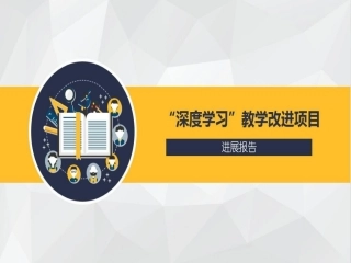 项目进展报告