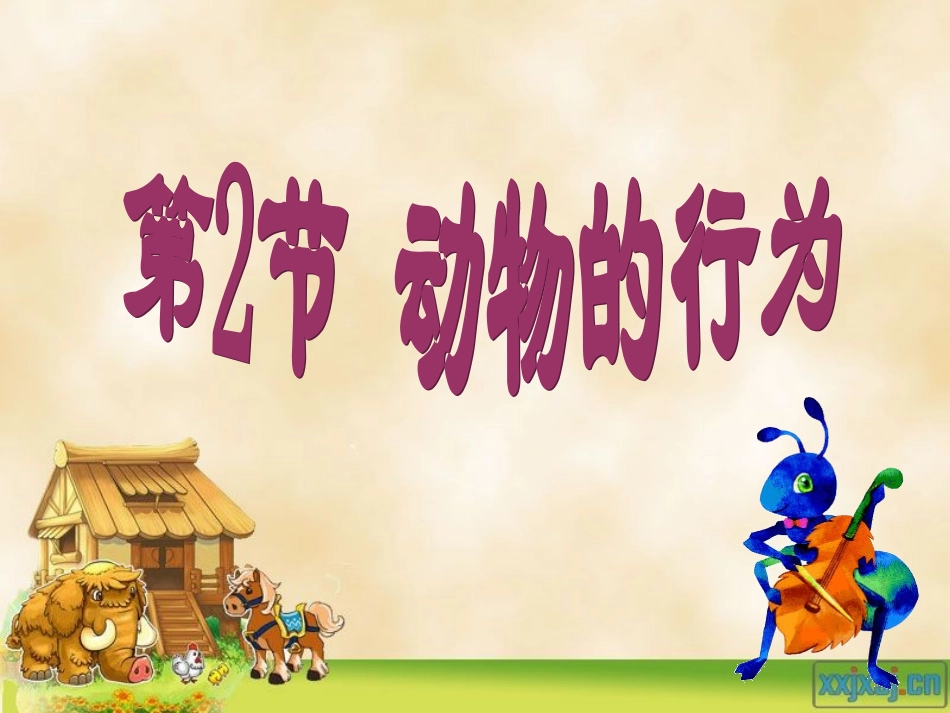 动物行为课件7_第2页