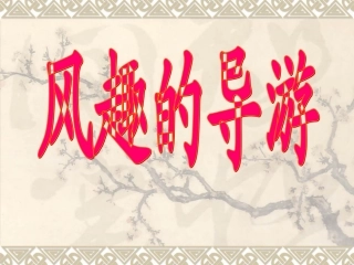 19风趣的导游2