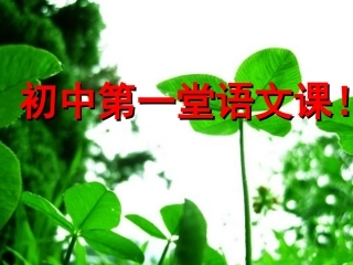 第一堂语文课课件