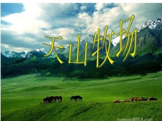 第七板块天山牧场