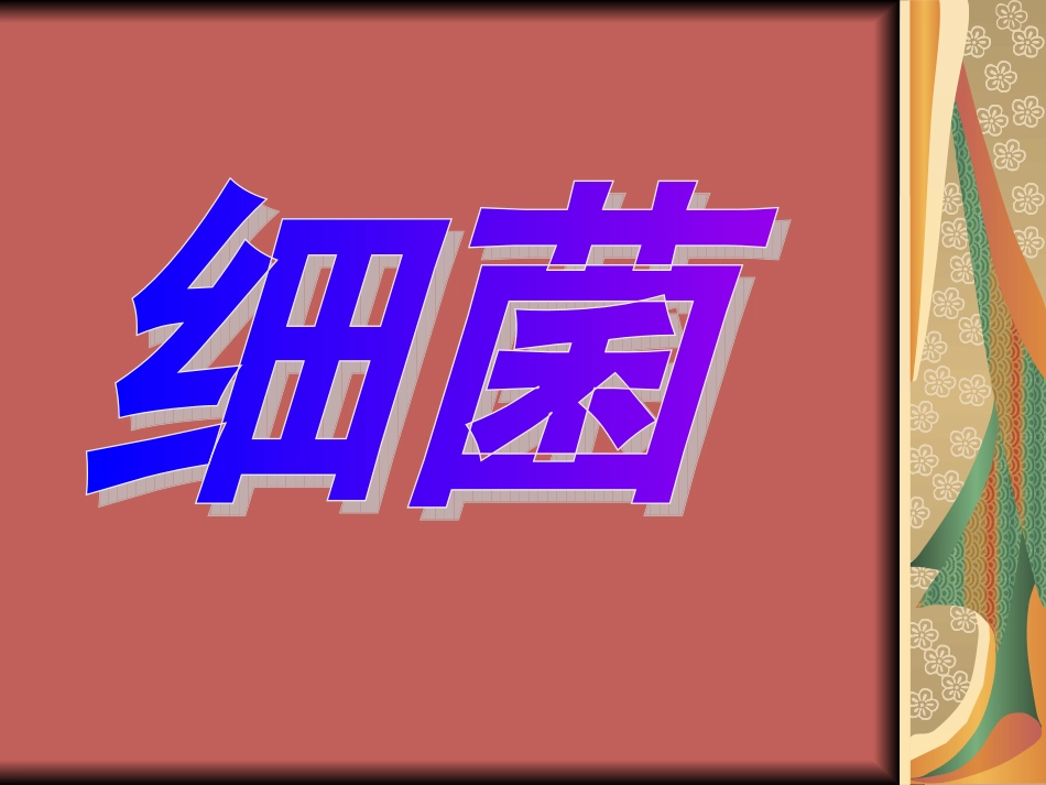 细菌的生命活动_第1页