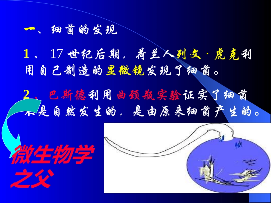 细菌的生命活动_第2页
