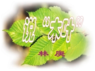 5-3-9说“木叶”