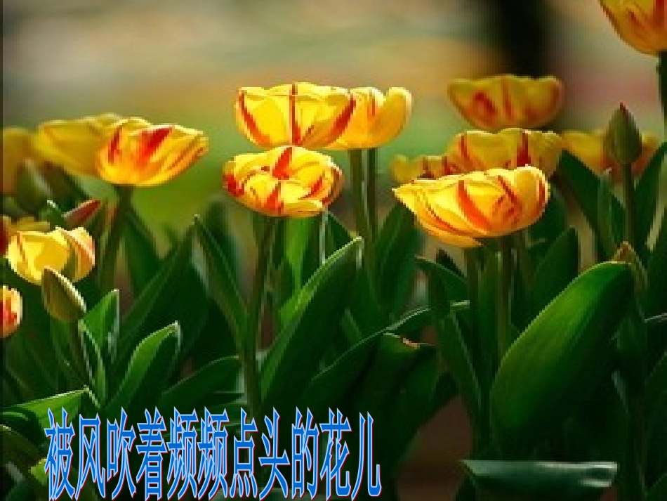 诗歌《风在哪里》_第3页