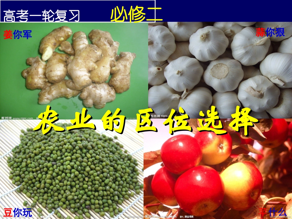 农业区位选择_第1页