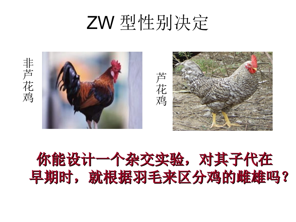 伴性遗传习题课_第2页