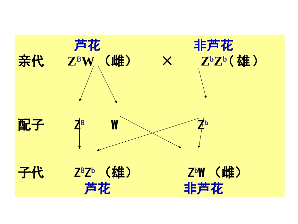 伴性遗传习题课_第3页
