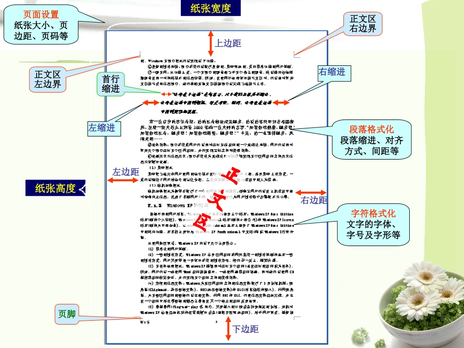 第四课文档的排版_第3页