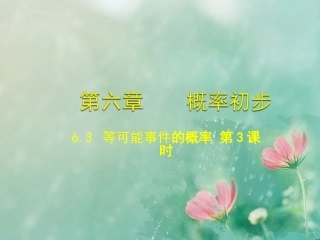 63等可能事件的概率第3课时