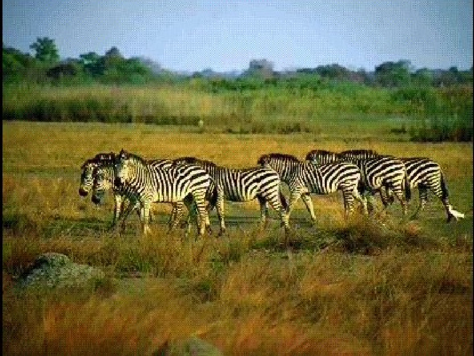 世界气候 (2)_第3页