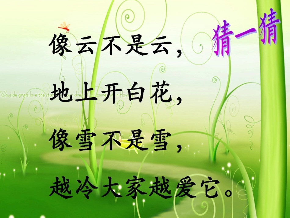 棉花姑娘 (3)_第2页