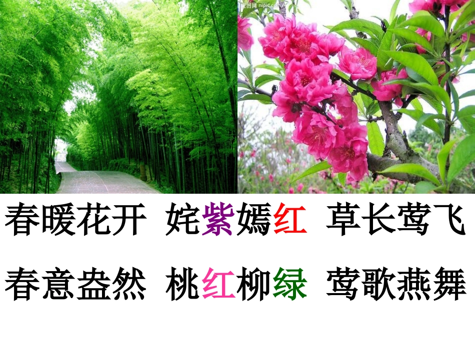 江南春公开课_第3页