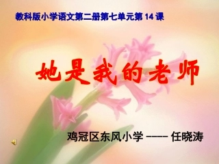 她是我的老师