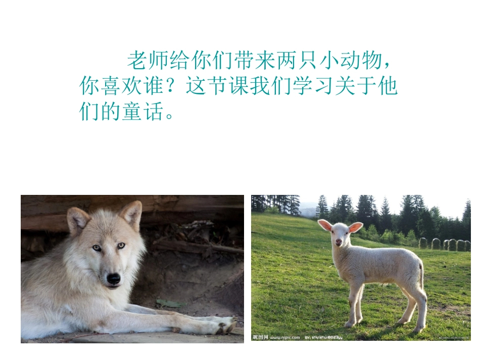 狼和小羊 (2)_第3页