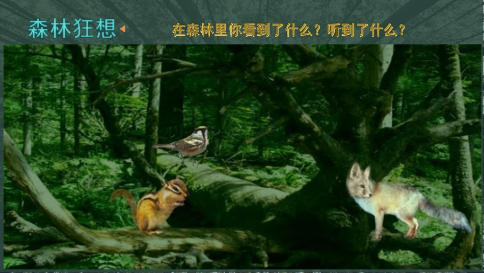 银色的桦树林_第2页