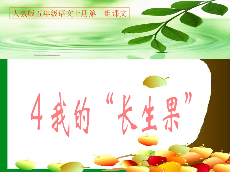 4我的“长生果” (3)_第1页
