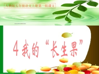 4我的“长生果” (3)