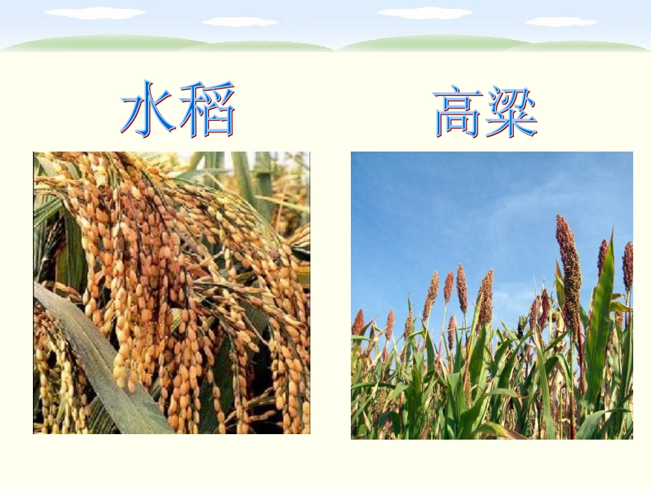 第二板块汉字家园（3） (2)_第1页