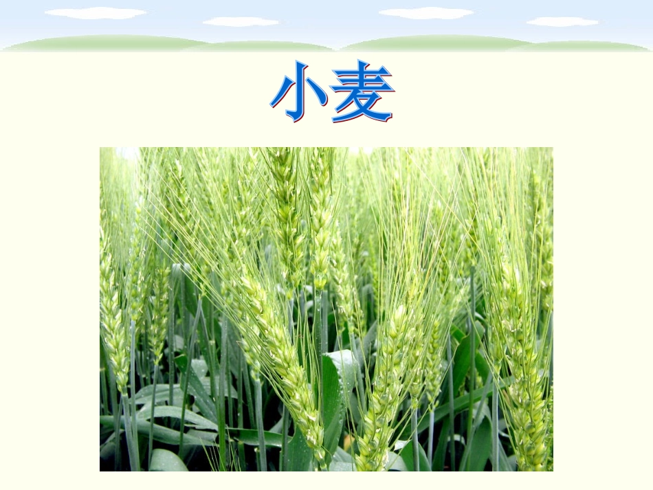 第二板块汉字家园（3） (2)_第3页