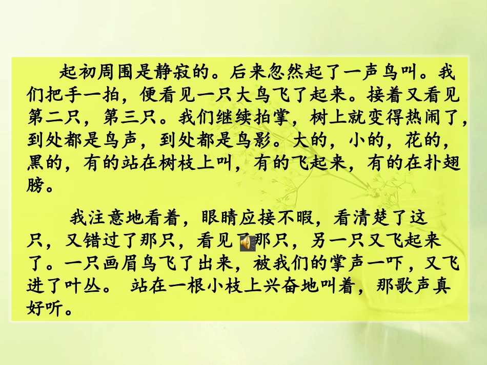 鸟的天堂新改_第3页