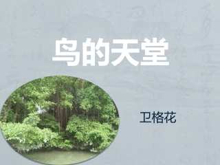 鸟的天堂新改