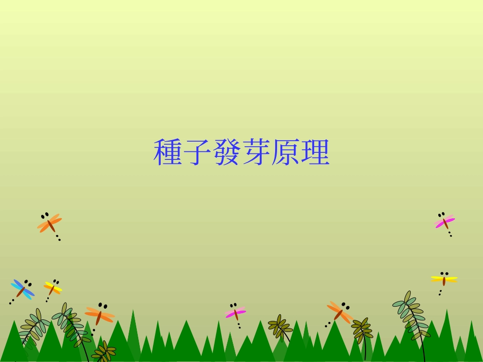 种子发芽原理_第1页
