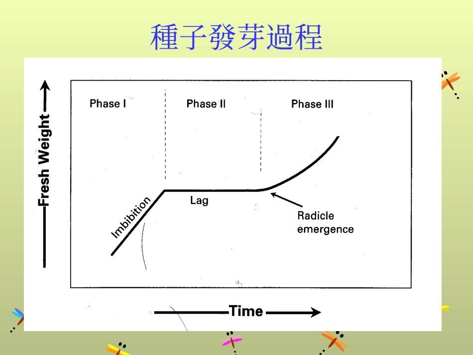 种子发芽原理_第3页