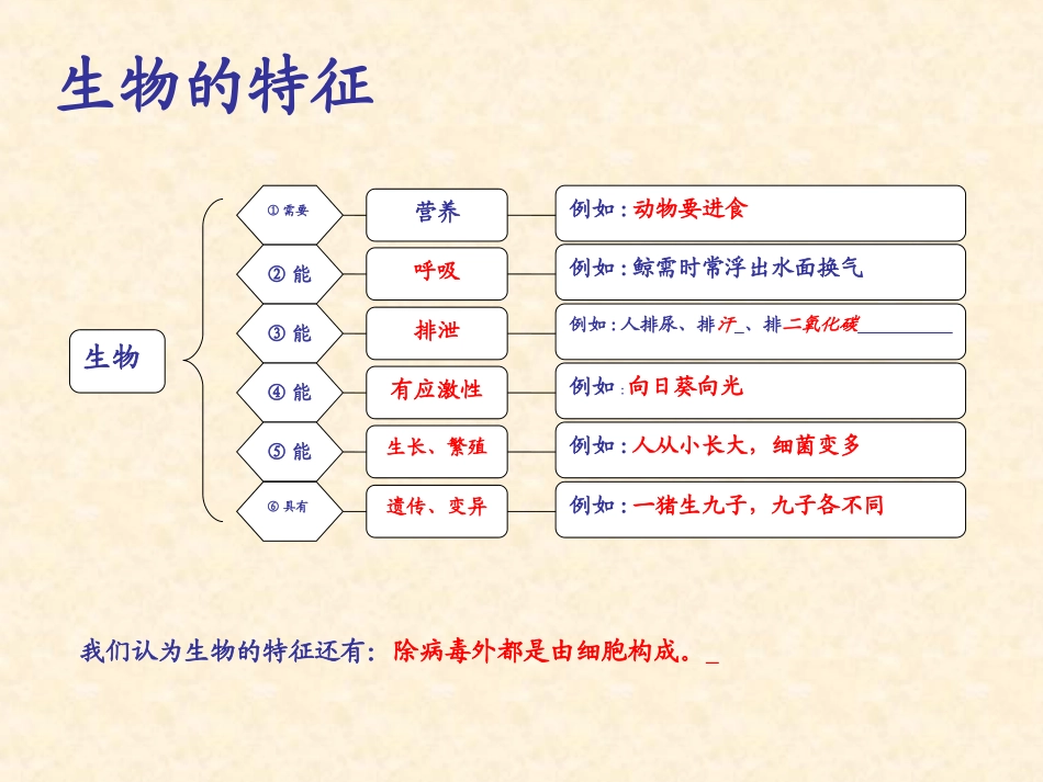 第一单元生物的特征_第2页