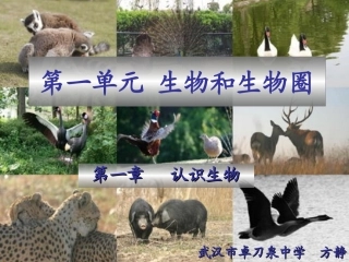 第一单元生物的特征