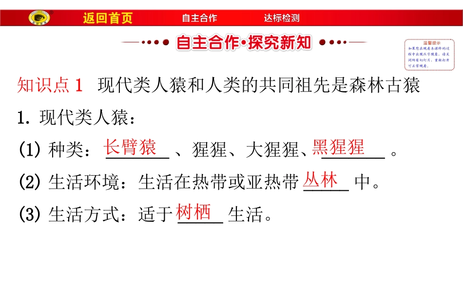 411人类的起源与发展_第2页