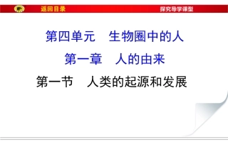 411人类的起源与发展