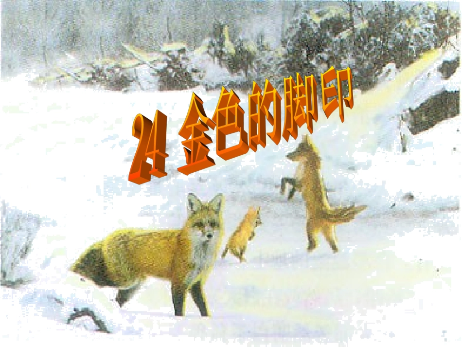 《金色的脚印》_第1页