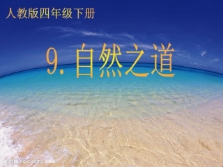 于路路自然之道