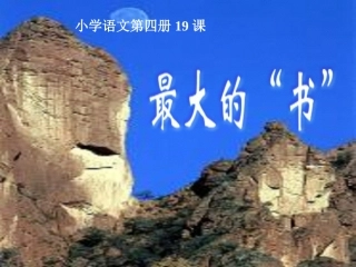 最大的“书”