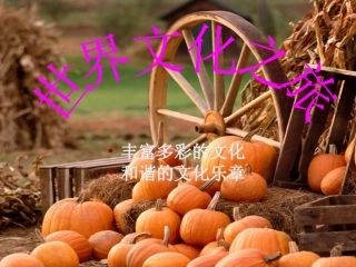 第五课多元文化地球村