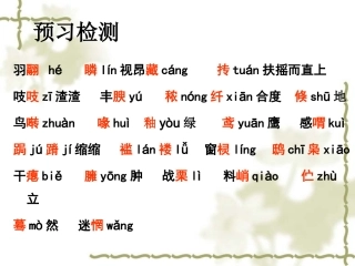 18鸟上课课件