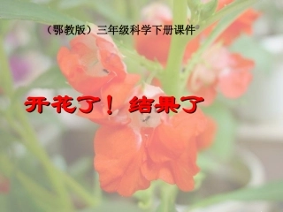 开花了、结果了