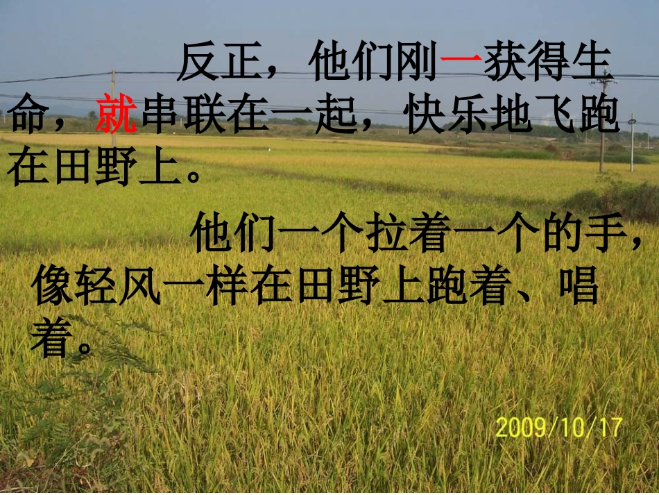 5-1《一串快乐的音符》_第3页