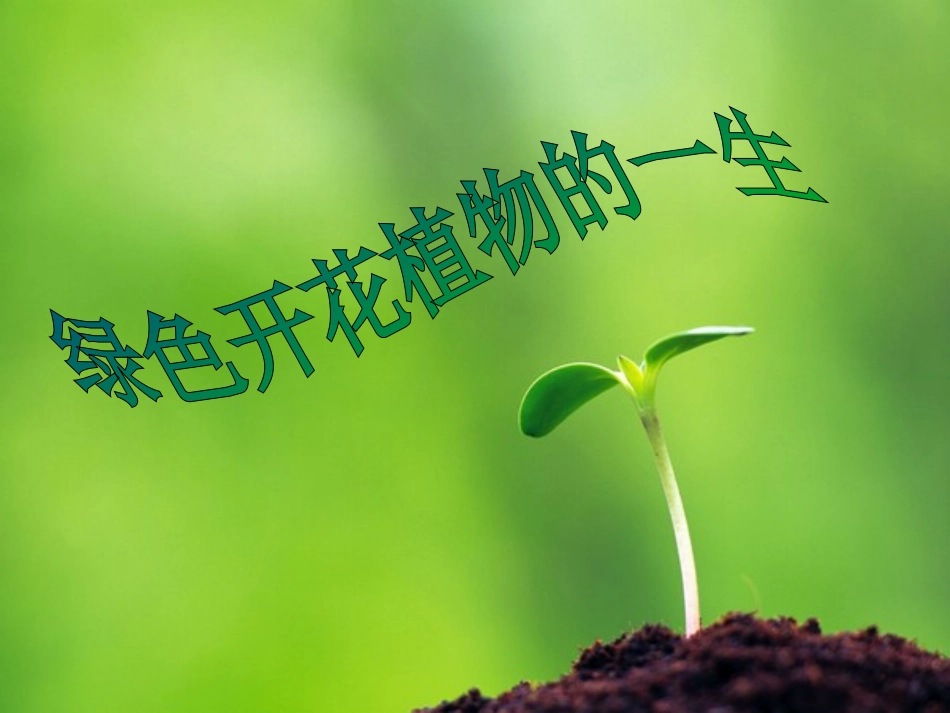 绿色植物的一生_第1页