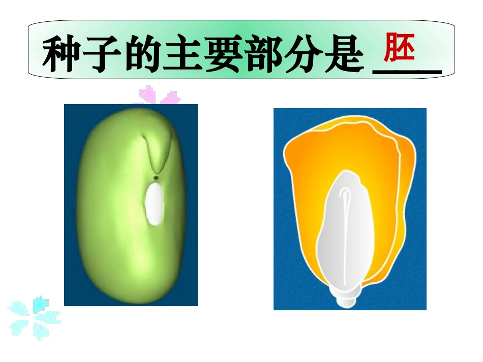 绿色植物的一生_第3页