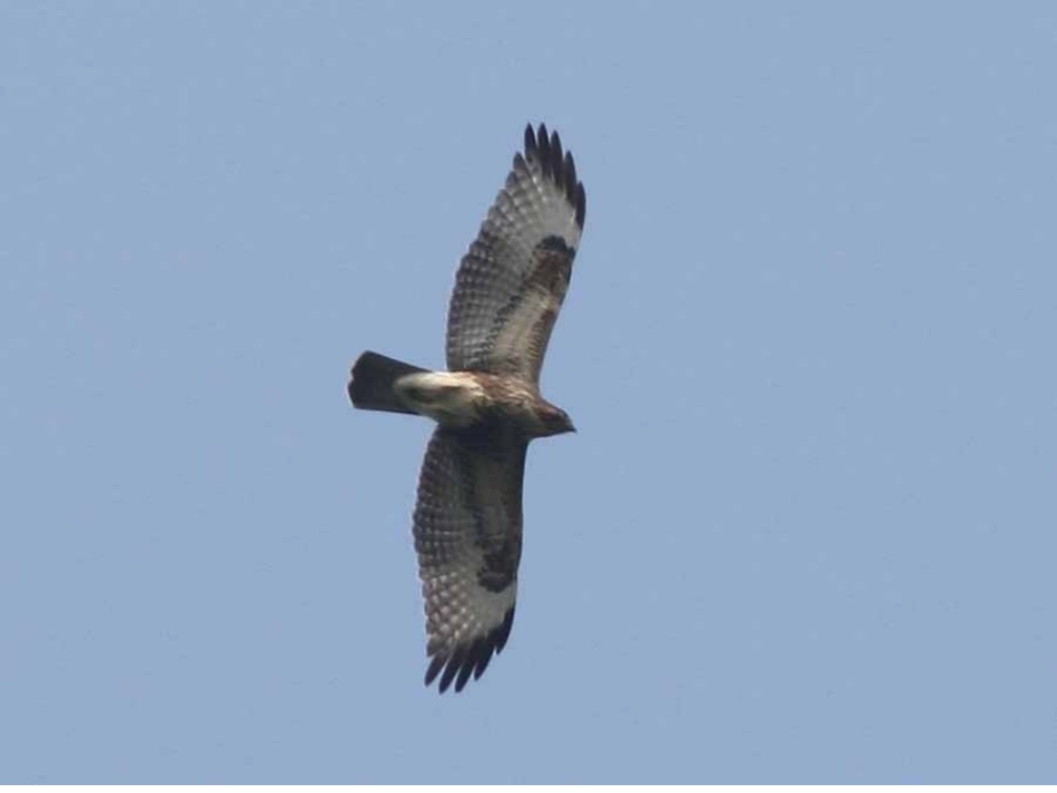 磁现象和磁场_第3页