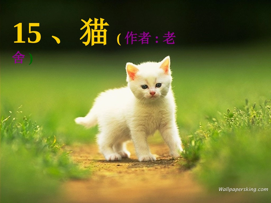 老舍《猫》林齐进_第1页
