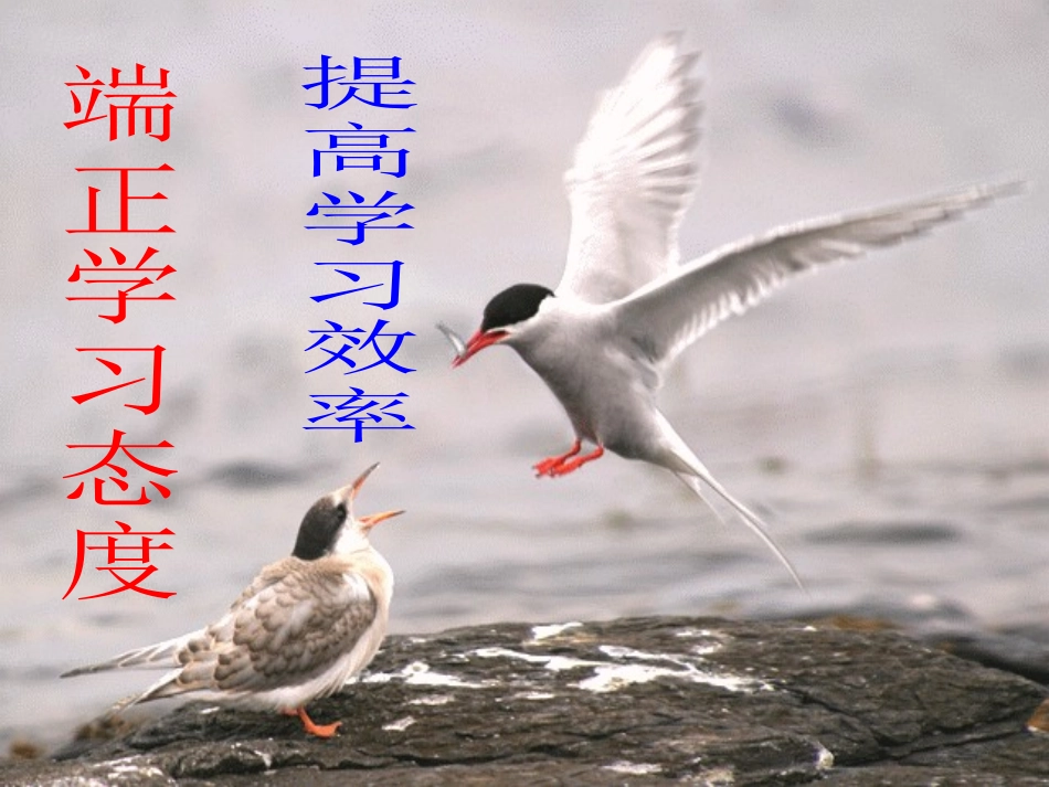 端正学习态度1_第1页