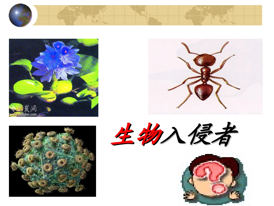 生物入侵者01_第2页