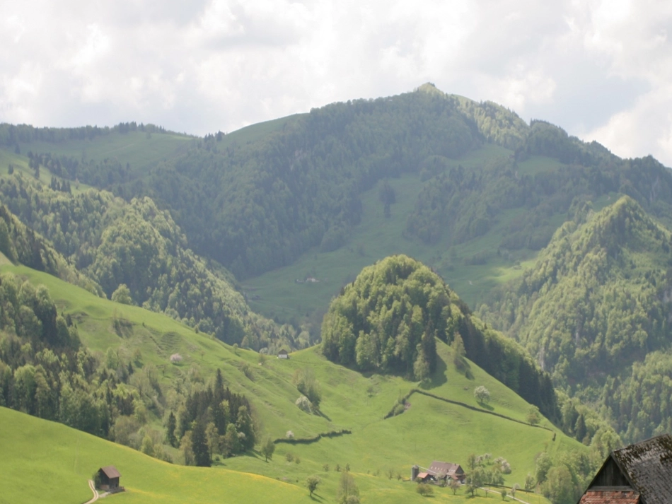 1《春光染绿我们双脚》_第2页