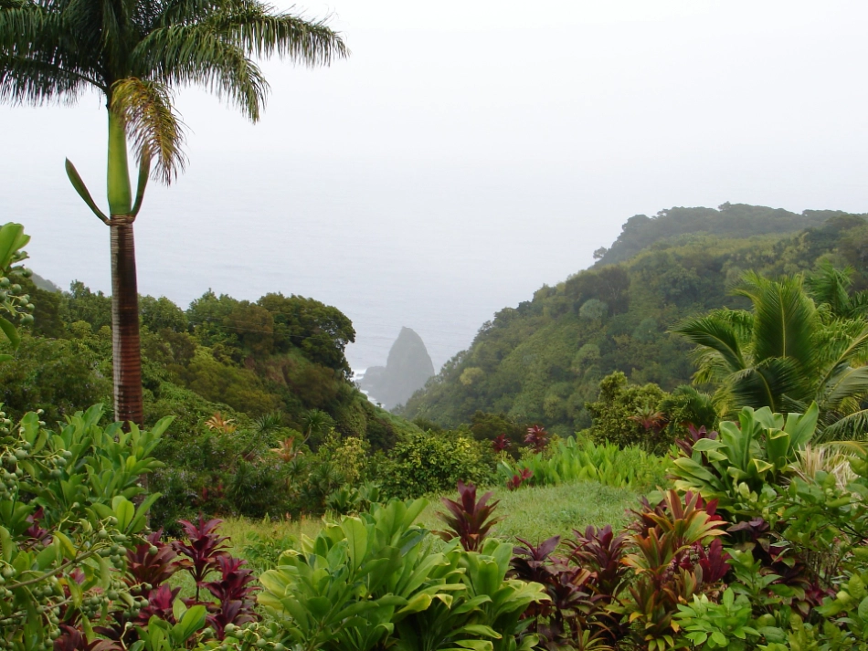 1《春光染绿我们双脚》_第3页