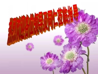 31字母表示数课件