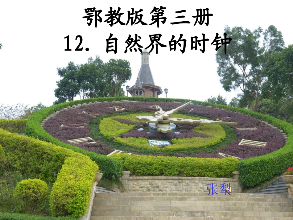 593鄂教版二年级上册语文《自然界的时钟》_第1页